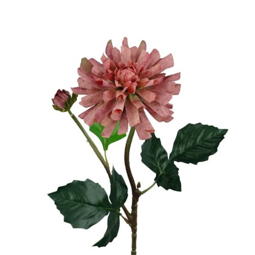Dahlia Stem Akita Salmon 60cm
