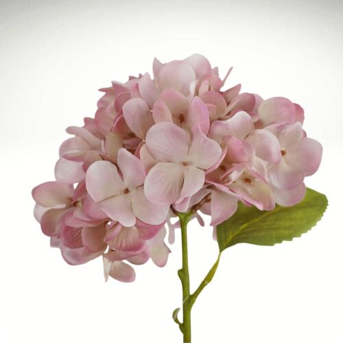 Hydrangea Little Diva Pink 35cm