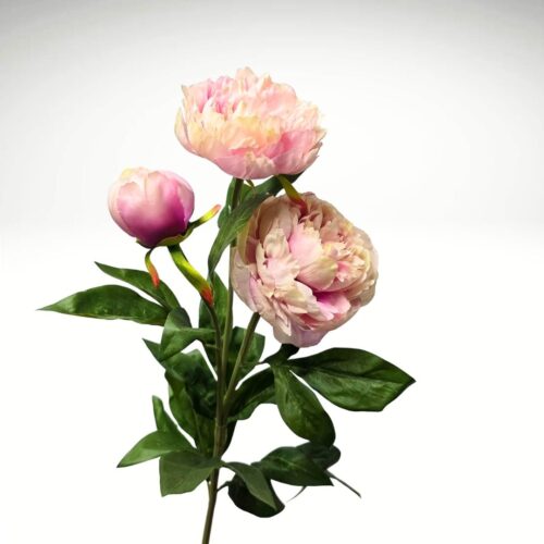 Peony Spray Loving Mauve 75cm
