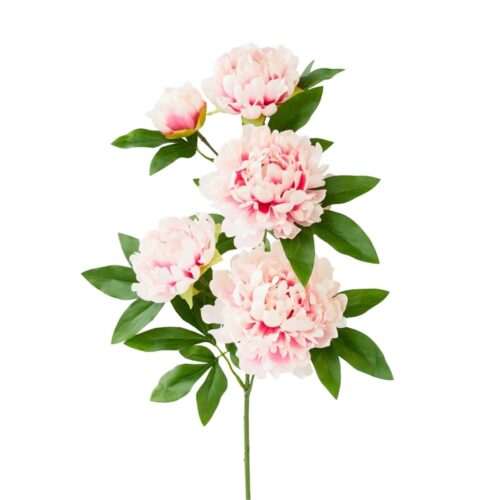 Peony Stem Brooksy Cream Pink 90cm