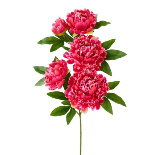 Peony Stem Brooksy Fuschia 90cm