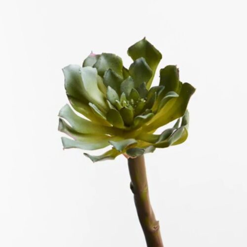 Faux Succulent Bess Green 19cm