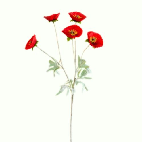 Field Poppy Spray Red 70cm