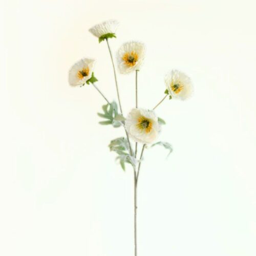 Field Poppy Spray White 70cm