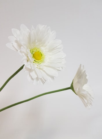 Artificial Gerbera White