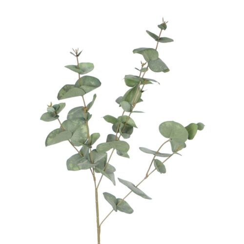 Artificial Eucalyptus Fergus Green 81cm