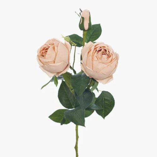 Artificial Rose Lacey Blush 73cm