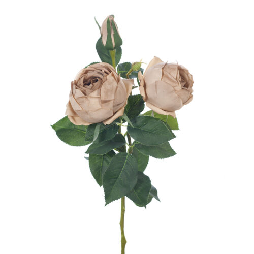 Artificial Rose Lacey Coffee 73cm