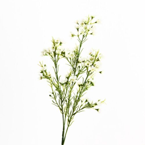 Artificial Wax Flower Spray White 66cm
