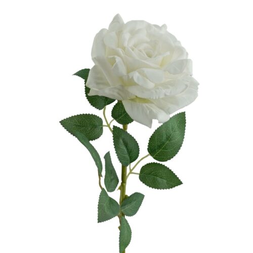 Bloomed Rose Magna Milk White 77cm