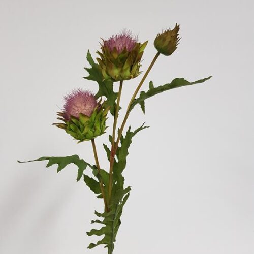Artificial Scottish Thistle Spray