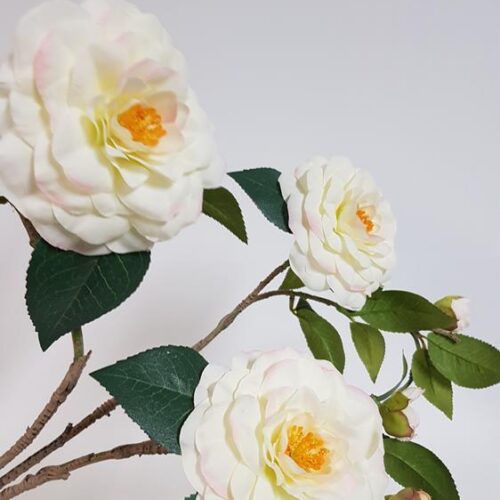Camellia Spray White