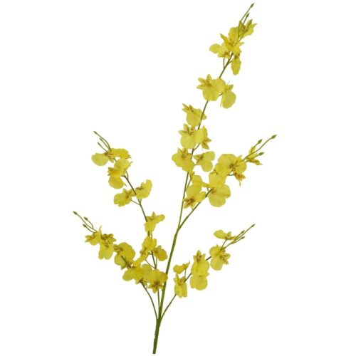 Dancing Orchid Yellow 99cm