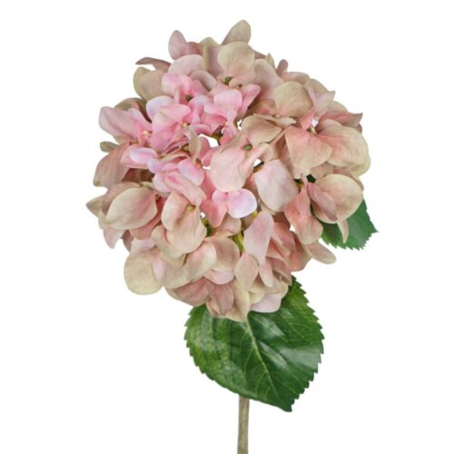 Artificial Hydrangea Silvana Peachy Pink 65cm
