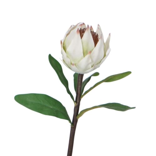 Artificial Protea Australis Cream Pink 43cm