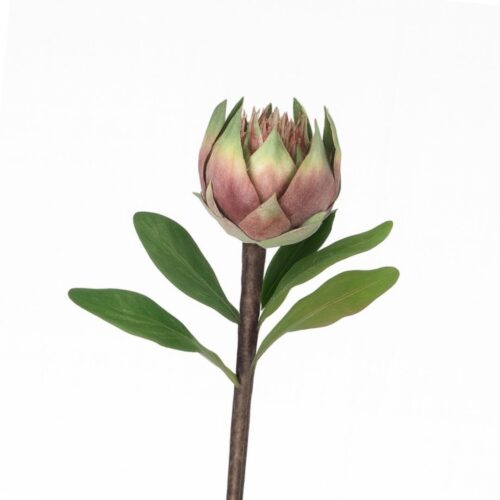 Artificial Protea Australis Green Pink 43cm
