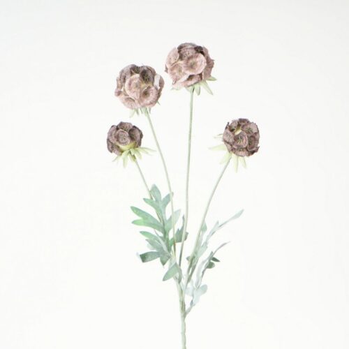 Artificial Scabiosa Spray Mocca 60cm