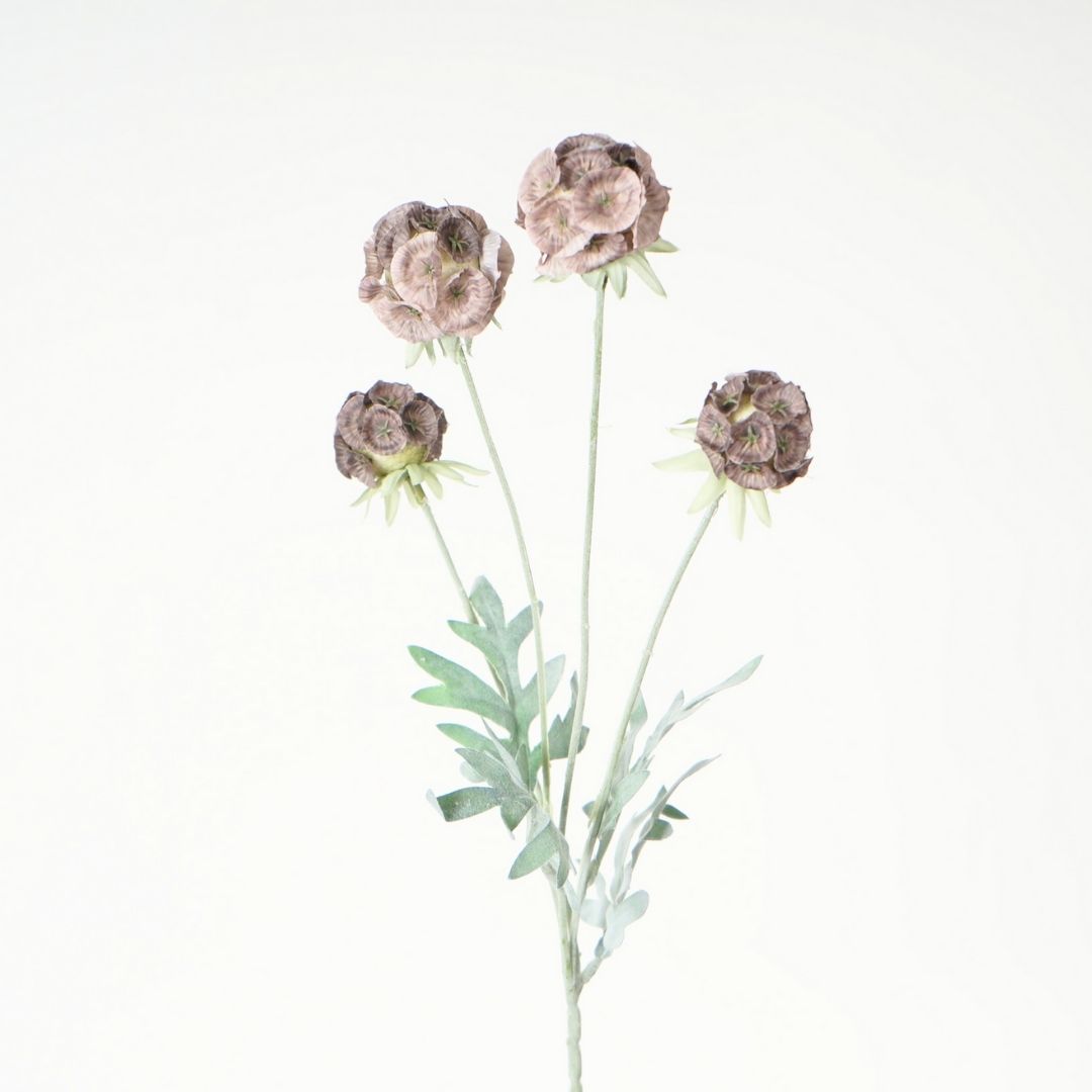 Artificial Scabiosa Spray Mocca 60cm