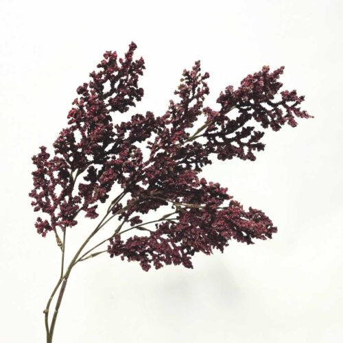 Artificial Sorghum Bloom Burgundy 76cm