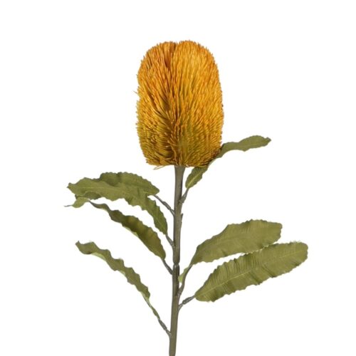 Banksia Stem Burnt Tangerine 65cm
