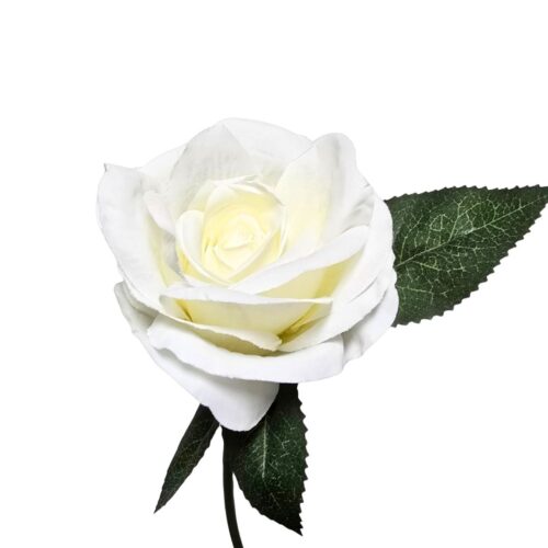 Budget Rose Envy White 32cm