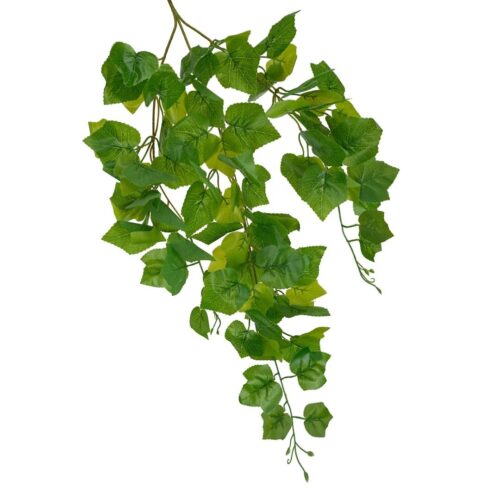 Grape Hanging Bush Green 70cm