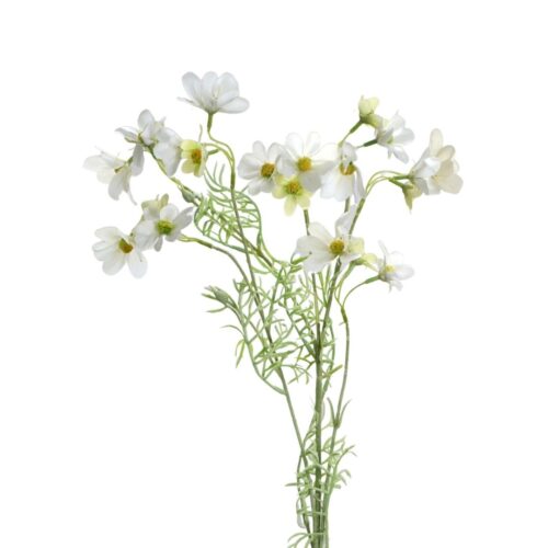 Mini Cosmos Flower White 80cm