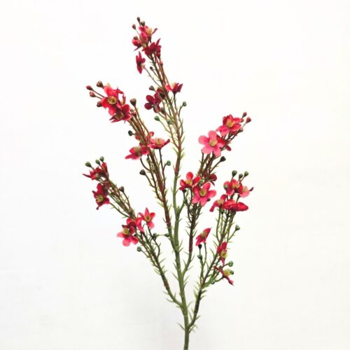 Wax Flower Red 64cm