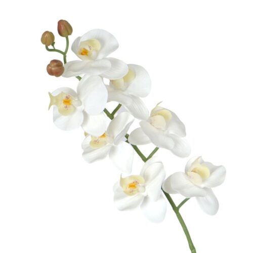 Artificial Phalaenopsis Orchid Paisly White 76cm