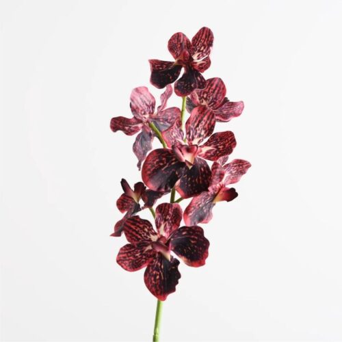 Artificial Vanda Orchid Burgundy 62cm