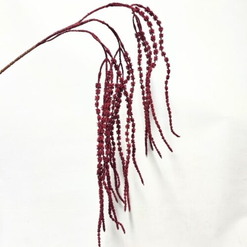 Amaranthus Caudatus Ruby Red 103cm