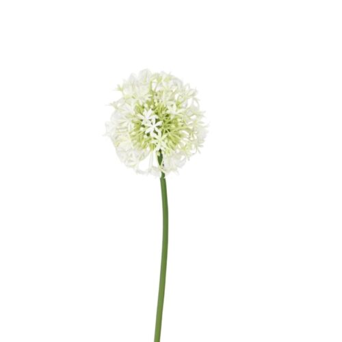 Artificial Allium Flower White 68cm