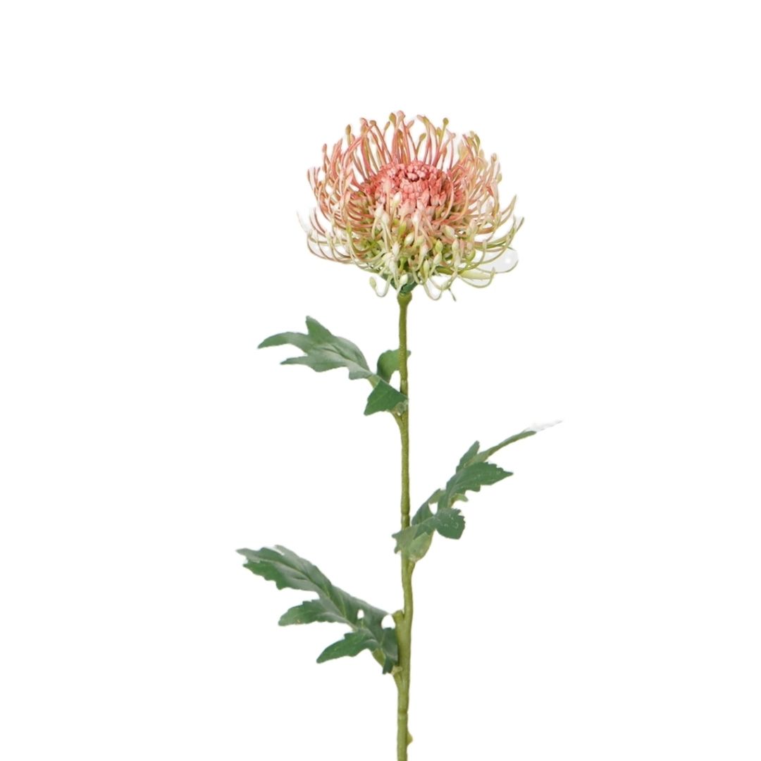 Artificial Native Leucospermum Pink 55 cm