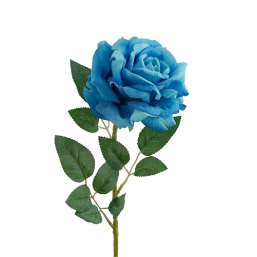 Bloomed Rose Magna Blue 77cm