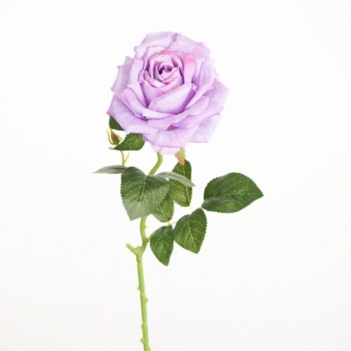 Full Bloom Rose Tubby Purple 65cm