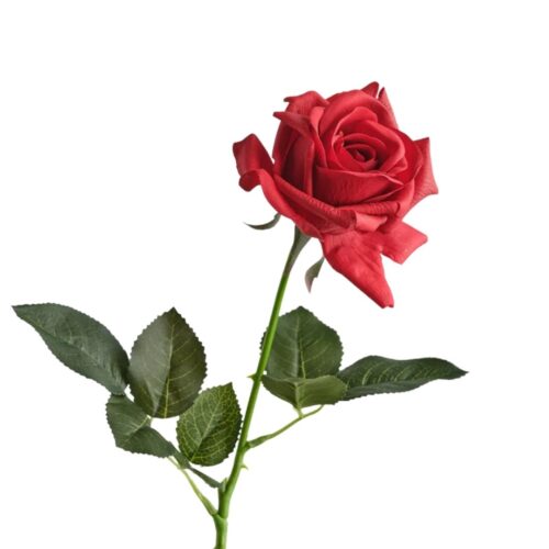 Real Touch Rose Kendall Red 65cm