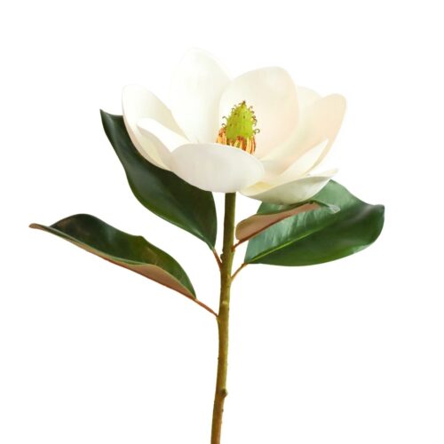 Artificial Magnolia Stem White 59cm