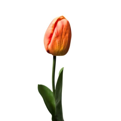 Artificial Tulip Bloom Orange 49cm