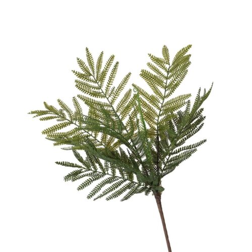 Feathery Fern Bush Green 48cm
