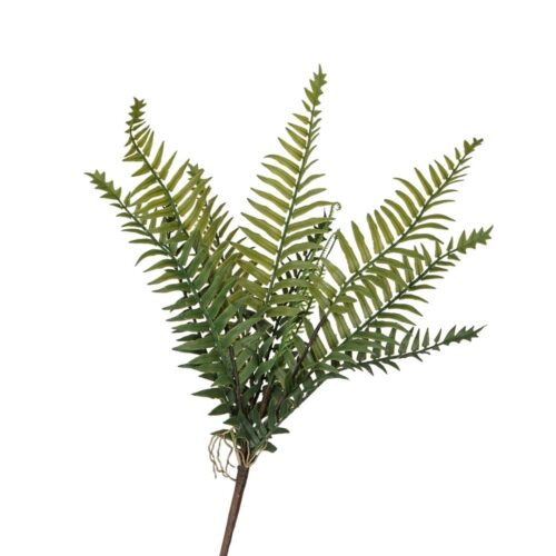 Fishbone Fern Bush Green 48cm
