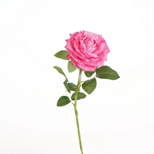 Full Bloom Rose Tubby Hot Pink 65cm