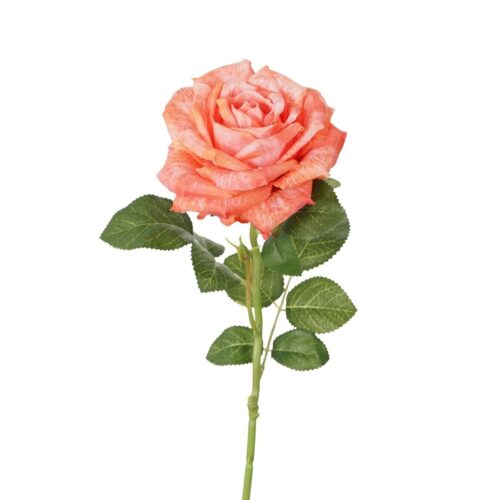 Full Bloom Rose Tubby Orange 65cm