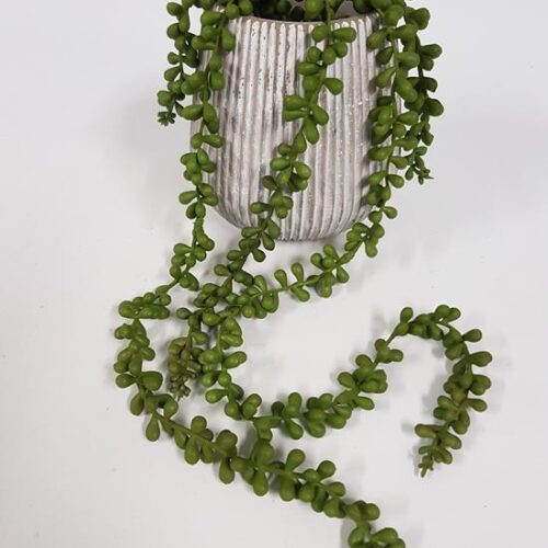 String Of Pearls 70cm