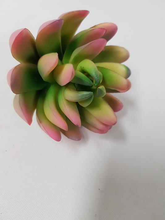 Artificial Succulent Jellybean Pink 10cm - Image 2