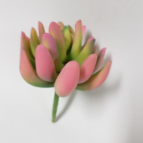 Artificial Succulent Jellybean Pink 10cm