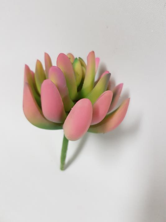 Artificial Succulent Jellybean Pink 10cm