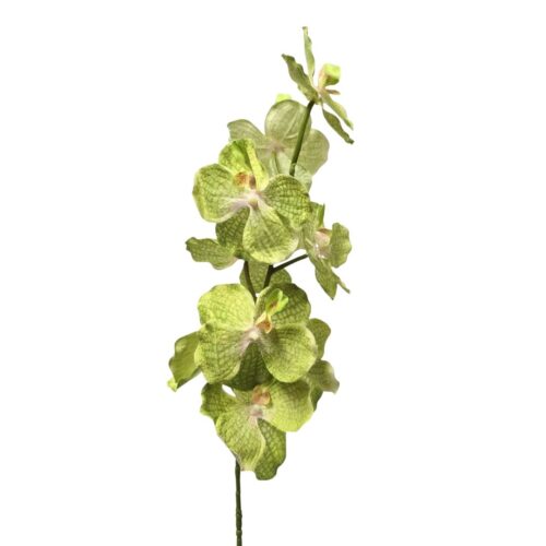 Artificial Moth Orchid Josie Lime 95cm