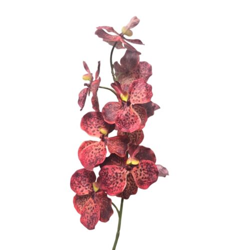 Artificial Moth Orchid Josie Toffee Apple 95cm