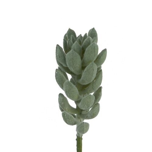 Artificial Panda Succulent 14cm