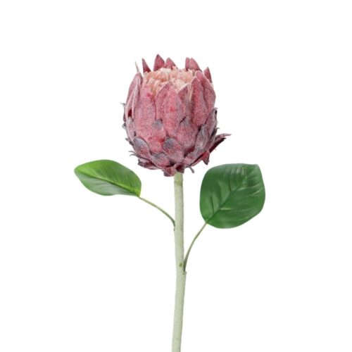 Artificial Protea Little Prince Dusty Red 64cm